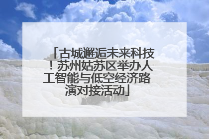 古城邂逅未来科技！苏州姑苏区举办人工智能与低空经济路演对接活动