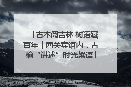 古木阅吉林 树语藏百年｜西关宾馆内，古榆“讲述”时光絮语