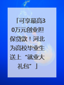 可享最高30万元创业担保贷款！河北为高校毕业生送上“就业大礼包”