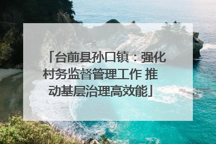 台前县孙口镇：强化村务监督管理工作 推动基层治理高效能