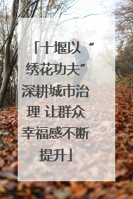 十堰以“绣花功夫”深耕城市治理 让群众幸福感不断提升