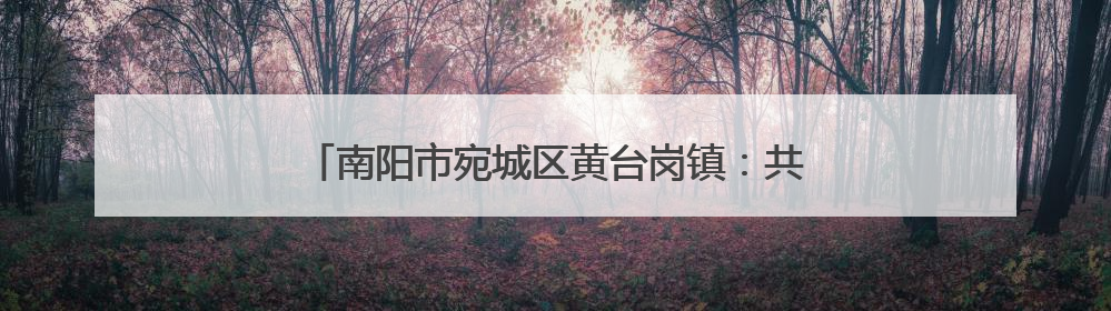 南阳市宛城区黄台岗镇：共筑信用长城 共绘营商新篇