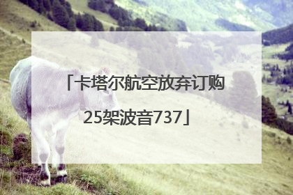卡塔尔航空放弃订购25架波音737