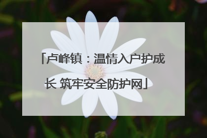 卢峰镇：温情入户护成长 筑牢安全防护网