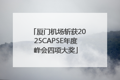 厦门机场斩获2025CAPSE年度峰会四项大奖