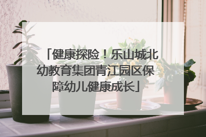 健康探险！乐山城北幼教育集团青江园区保障幼儿健康成长