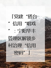 党建“搭台”信用“唱戏”：宁阳华丰管理区解锁乡村治理“信用密码”