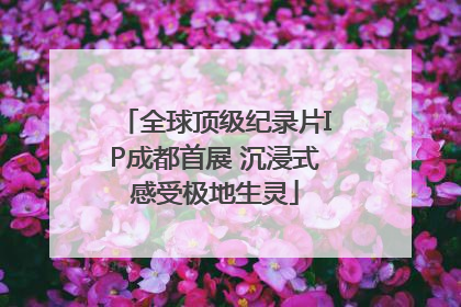 全球顶级纪录片IP成都首展 沉浸式感受极地生灵