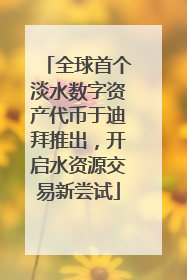 全球首个淡水数字资产代币于迪拜推出，开启水资源交易新尝试