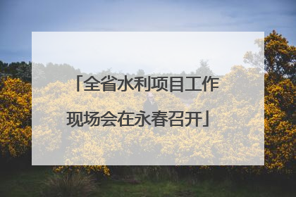 全省水利项目工作现场会在永春召开