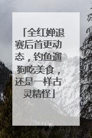 全红婵退赛后首更动态，钓鱼遛狗吃美食，还是一样古灵精怪