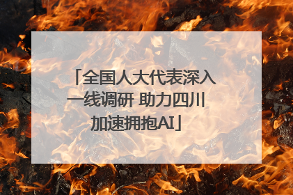 全国人大代表深入一线调研 助力四川加速拥抱AI