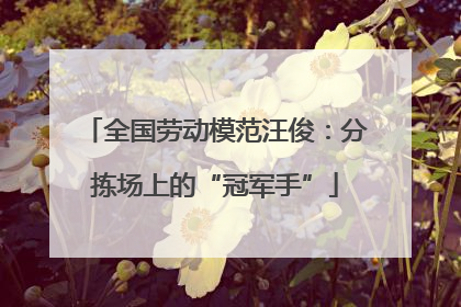 全国劳动模范汪俊：分拣场上的“冠军手”