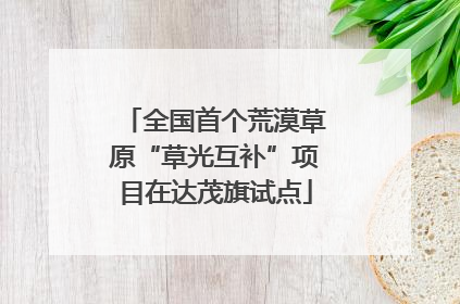 全国首个荒漠草原“草光互补”项目在达茂旗试点