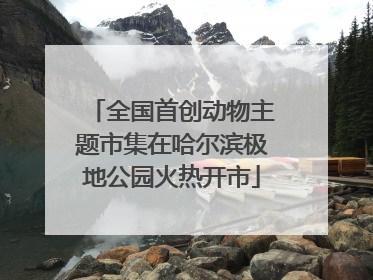 全国首创动物主题市集在哈尔滨极地公园火热开市