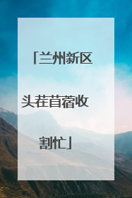 兰州新区头茬苜蓿收割忙