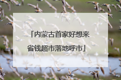 内蒙古首家好想来省钱超市落地呼市