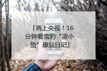 再上央视！16分钟看雪豹“凌小蛰”康复日记