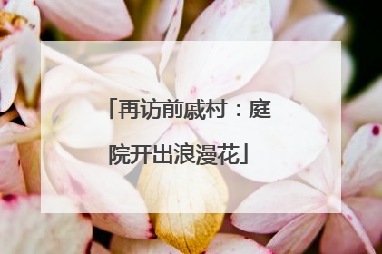 再访前戚村：庭院开出浪漫花