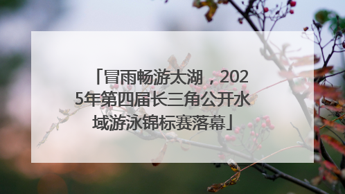 冒雨畅游太湖，2025年第四届长三角公开水域游泳锦标赛落幕