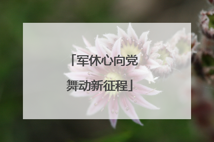 军休心向党 舞动新征程