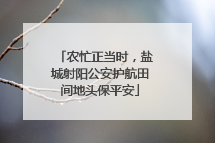农忙正当时，盐城射阳公安护航田间地头保平安