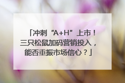 冲刺“A+H”上市！三只松鼠加码营销投入，能否重振市场信心？