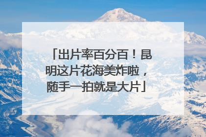 出片率百分百！昆明这片花海美炸啦，随手一拍就是大片