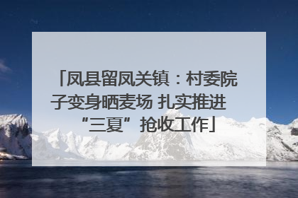 凤县留凤关镇：村委院子变身晒麦场 扎实推进“三夏”抢收工作