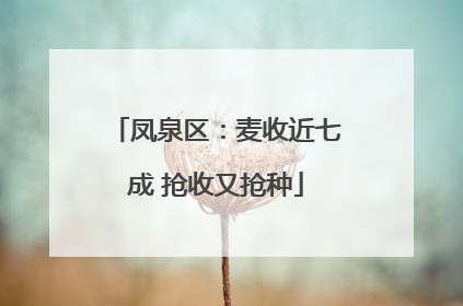 凤泉区：麦收近七成 抢收又抢种