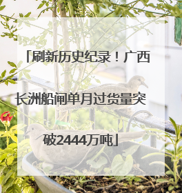 刷新历史纪录！广西长洲船闸单月过货量突破2444万吨