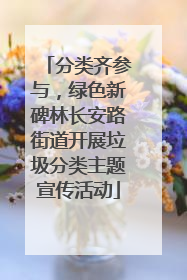 分类齐参与，绿色新碑林长安路街道开展垃圾分类主题宣传活动