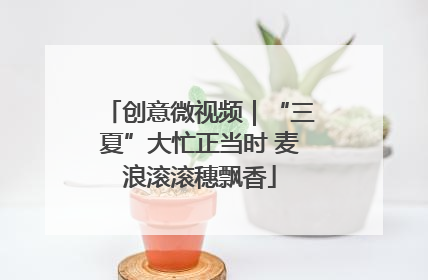 创意微视频｜“三夏”大忙正当时 麦浪滚滚穗飘香