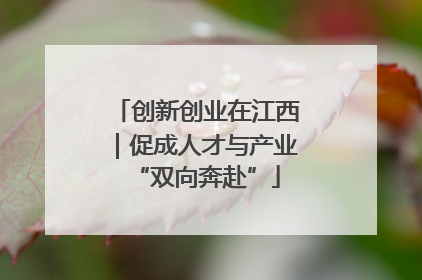 创新创业在江西｜促成人才与产业“双向奔赴”