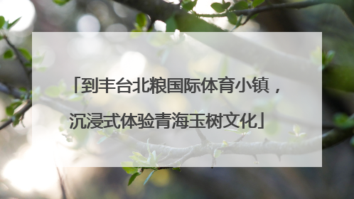 到丰台北粮国际体育小镇，沉浸式体验青海玉树文化