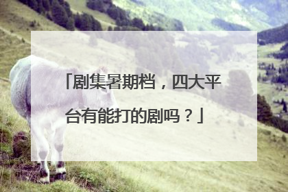 剧集暑期档，四大平台有能打的剧吗？