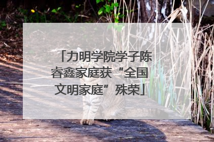力明学院学子陈睿鑫家庭获“全国文明家庭”殊荣