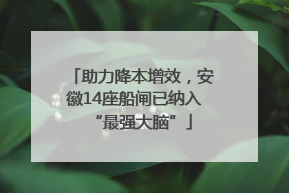 助力降本增效，安徽14座船闸已纳入“最强大脑”