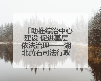 助推综治中心建设 促进基层依法治理——湖北黄石司法行政系统深入践行新时代枫桥经验