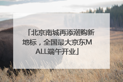 北京南城再添潮购新地标，全国最大京东MALL端午开业