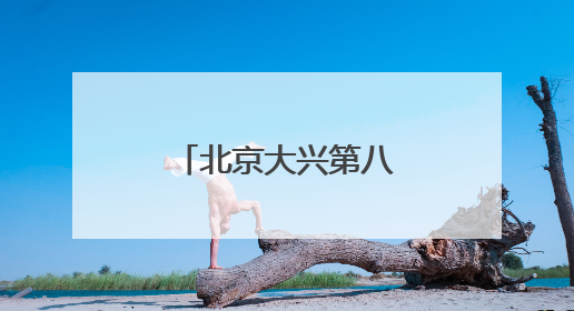 北京大兴第八届端午节龙舟大赛成功举办