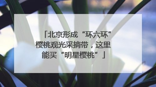 北京形成“环六环”樱桃观光采摘带，这里能买“明星樱桃”