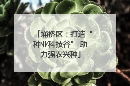 埇桥区：打造“种业科技谷” 助力强农兴种