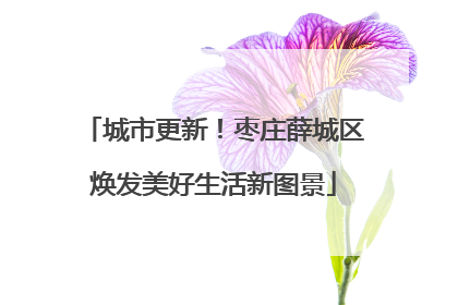 城市更新！枣庄薛城区焕发美好生活新图景