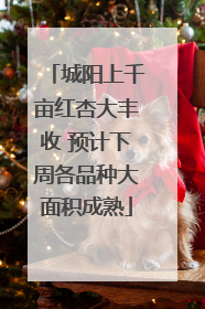 城阳上千亩红杏大丰收 预计下周各品种大面积成熟
