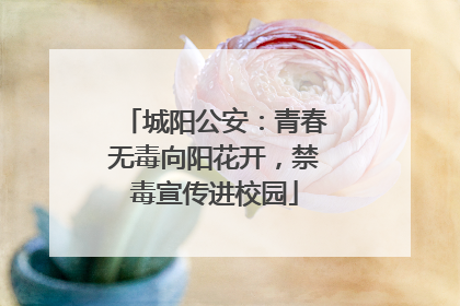 城阳公安：青春无毒向阳花开，禁毒宣传进校园