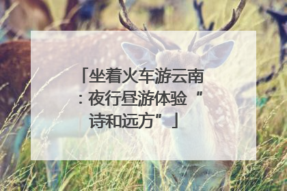 坐着火车游云南：夜行昼游体验“诗和远方”