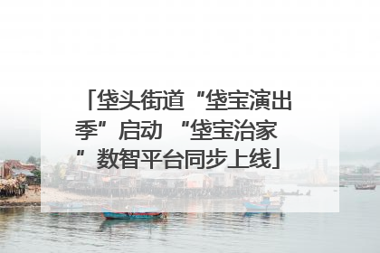 垡头街道“垡宝演出季”启动 “垡宝治家”数智平台同步上线