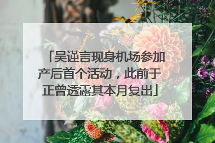 吴谨言现身机场参加产后首个活动，此前于正曾透露其本月复出