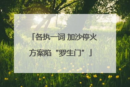 各执一词 加沙停火方案陷“罗生门”